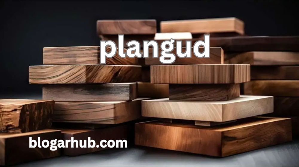 Plangud : A New Way to Learn with Fun